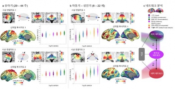 시상 연결지도와 신피질 투사지도로 뇌 발달 단계에 따른 연결성의 변화를 보여준다.